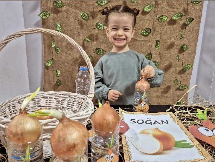 SOSYAL  KÜLTÜREL ÇALIŞMALAR 