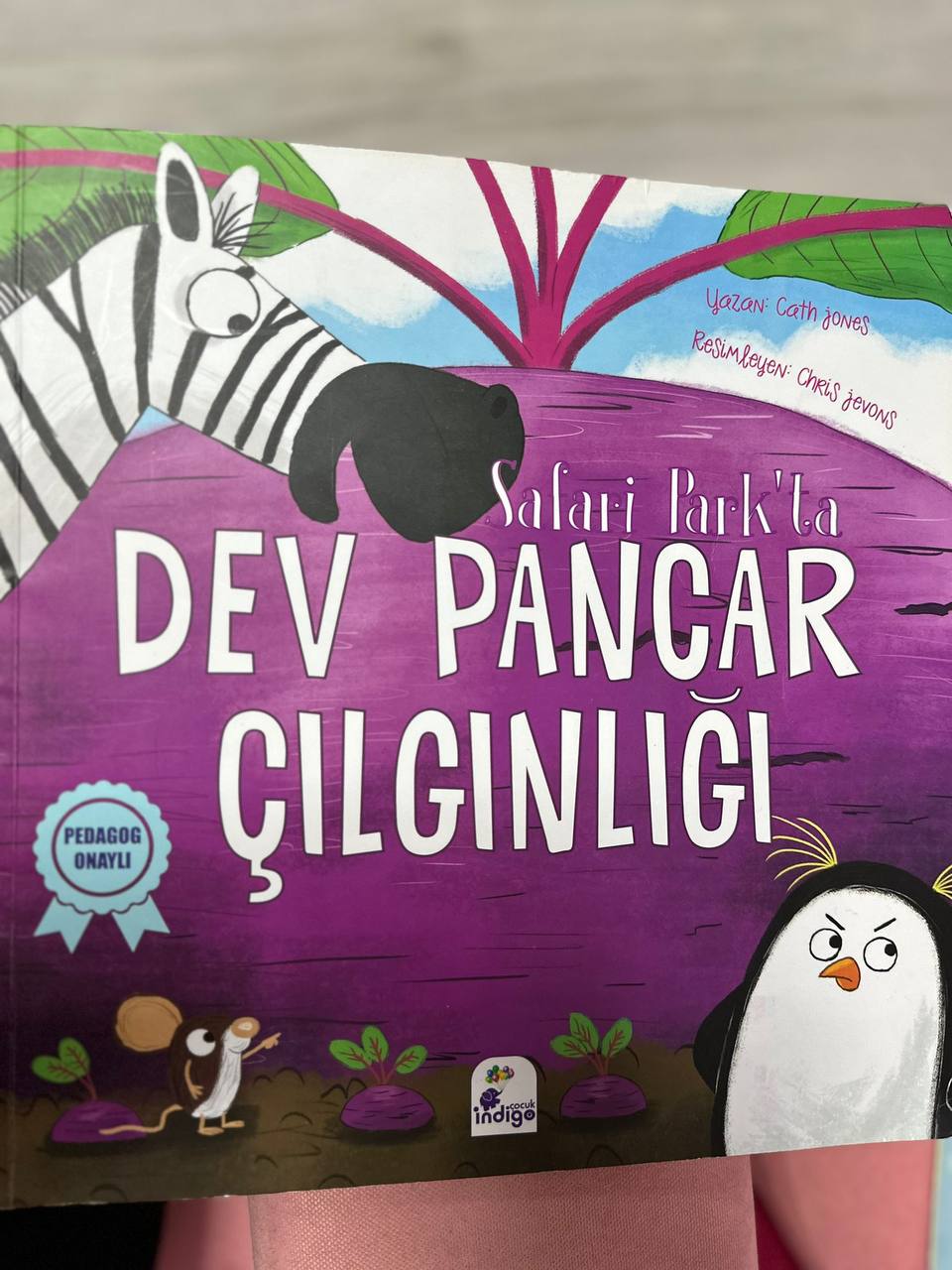 TÜRKÇE  DİL  ETKİNLİKLERİ 